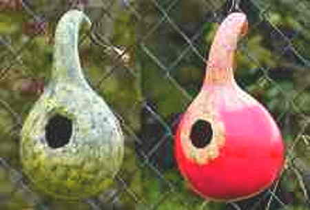 Natural Painted Gourd Bird Houses. One is greenish color and the other is red and yellow designs. 