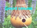 Gourd House