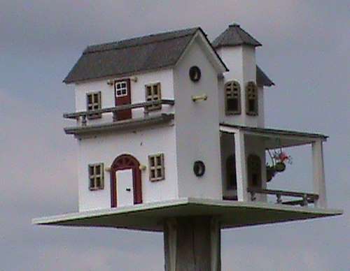 how to build a bird house