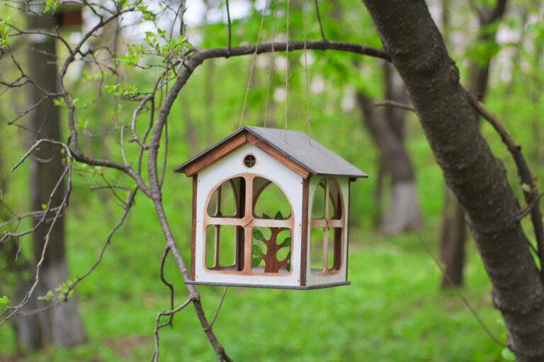 simple bird feeder plan