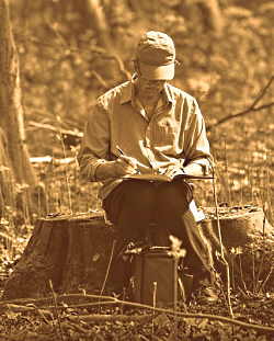 A gentleman sitting on a dead tree stump writing in a book. 