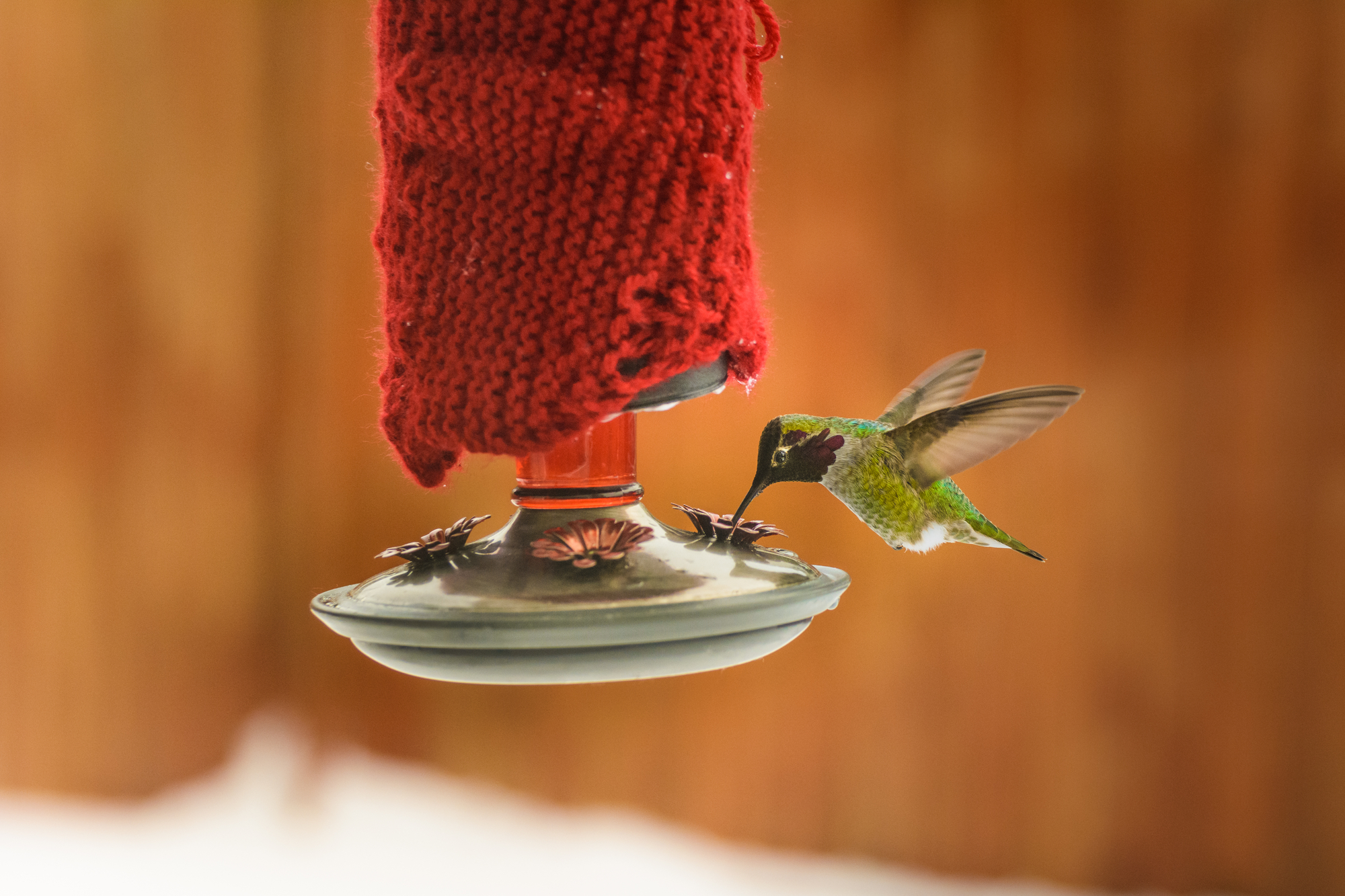 How Do Hummingbirds Find Feeders