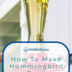 6 How To Make Hummingbird Food