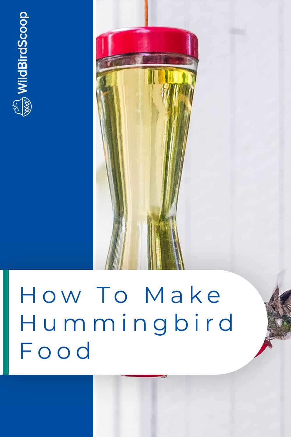 How to make hummingbird food diy nectar in minutes 