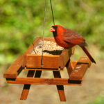 Best Bird Feeder For Cardinals
