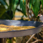 Can Birds Eat Sesame Seeds