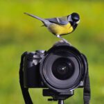 best birding camera