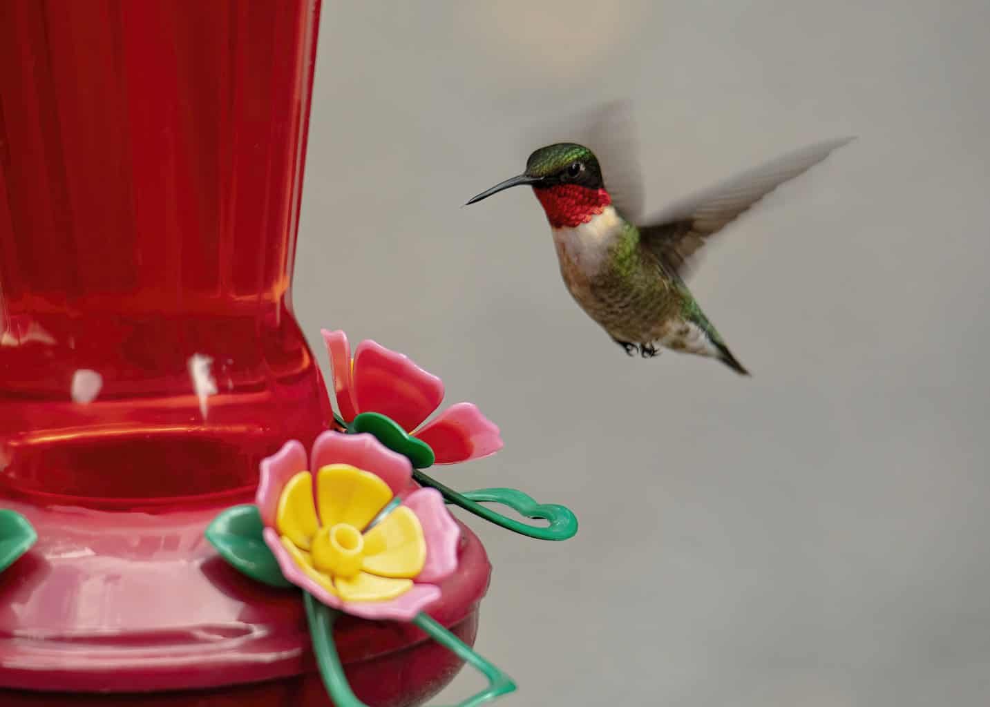 do hummingbirds prefer homemade nectar