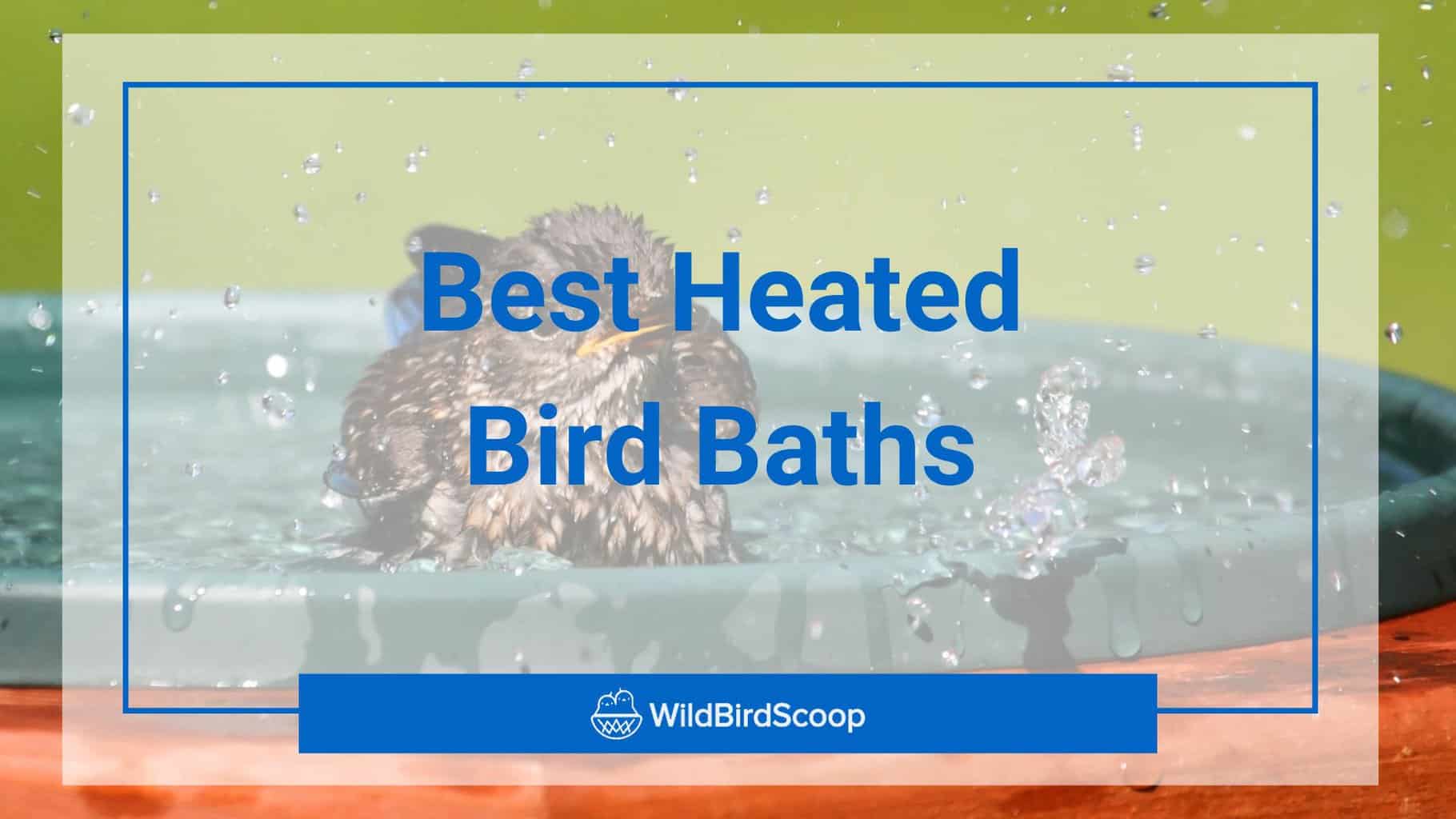 1Pc 2Pcs Heated Bird Bath for Outdoors in Winter,Bird Bath Heater with Aluminum Base,Thermostatically Controlled Auto-shutoff,Outdoor Fountain Pond Heater for Patio Yard Lawn,Birdbath Deicer Water Heater 