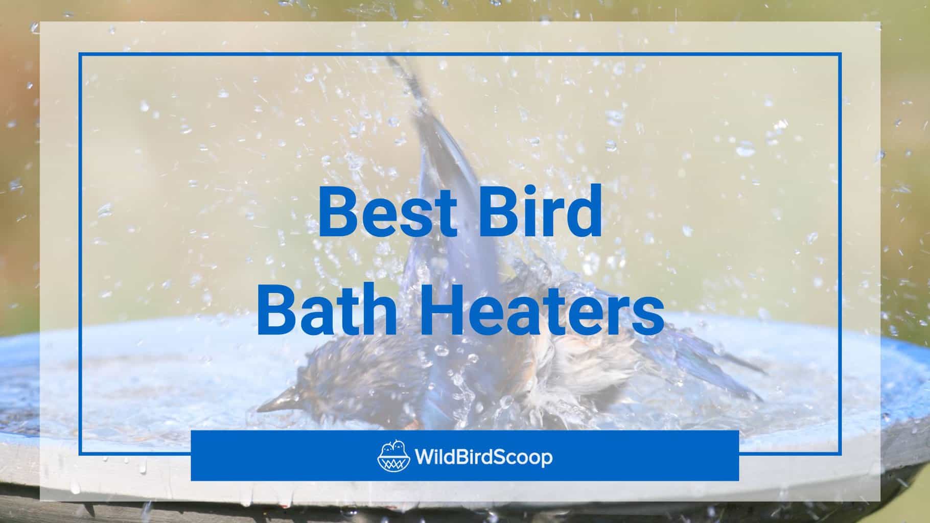 best bird bath heater