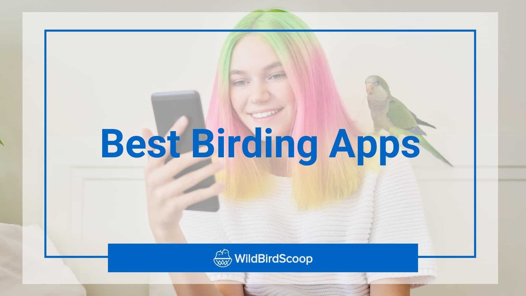 Best Birding Apps