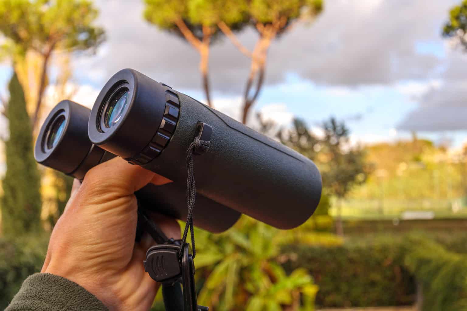 Green Binoculars in Hand with Landscape