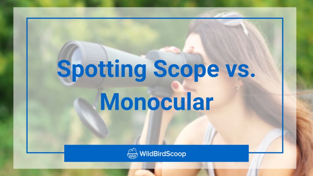 spotting scope vs monocular