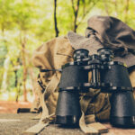 Birdwatching for Beginners