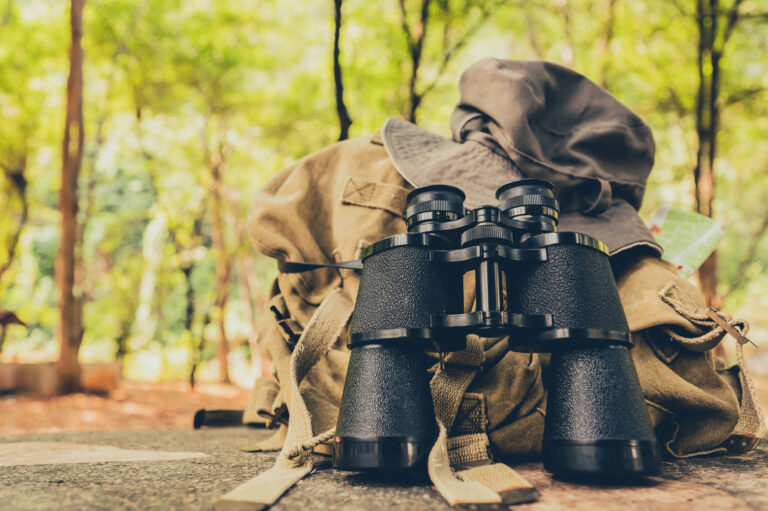 Birdwatching for Beginners