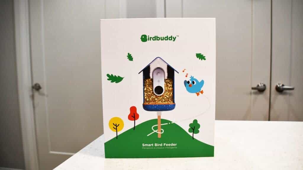 Bird Buddy : Wall Mount