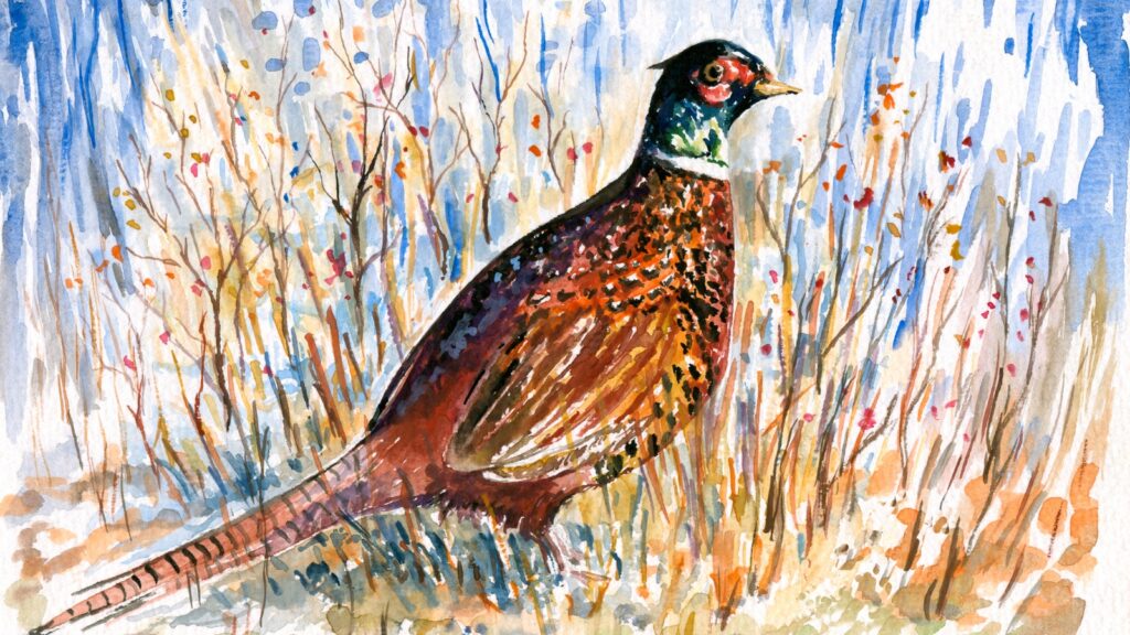 Bird Symbolism in Paintings