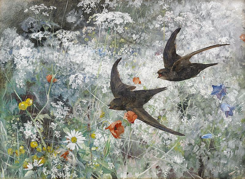 Bruno Liljefors - Common Swifts