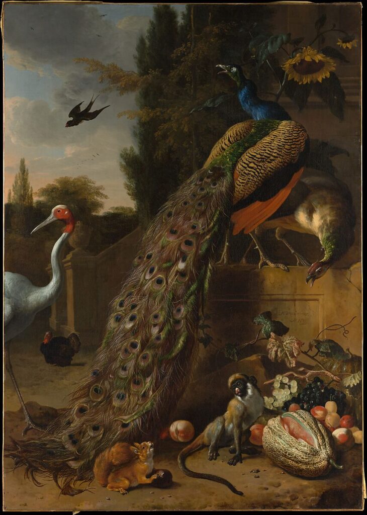 Melchior d' Hondecoeter - Peacocks