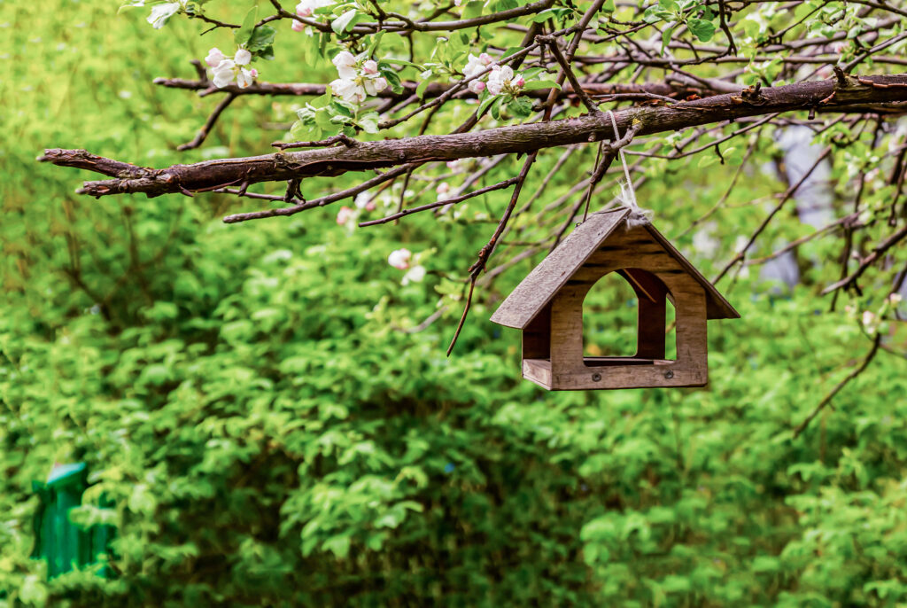 Wooden bird house hanging on a branch