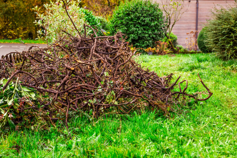 brush pile garden