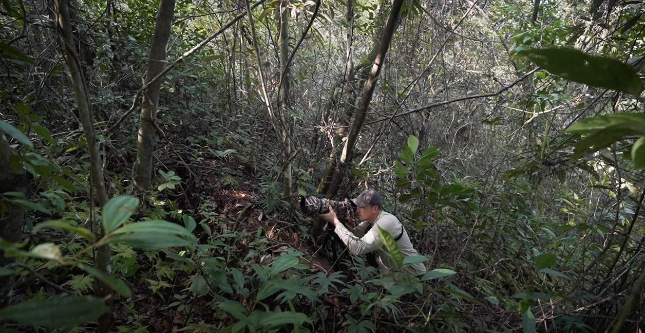man photographing birds in the forest using a camera with a long lens