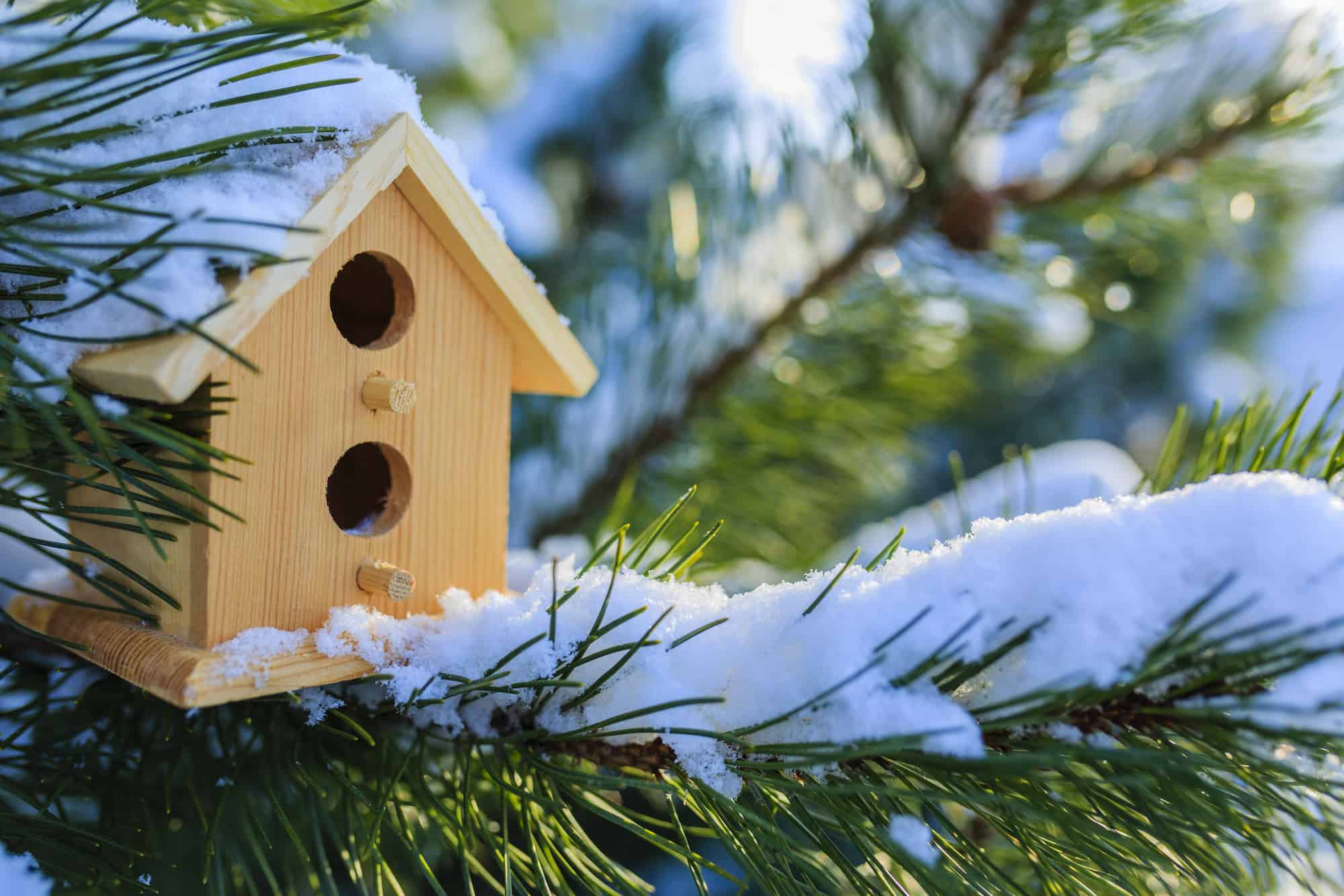 A bird house in a winter garden.