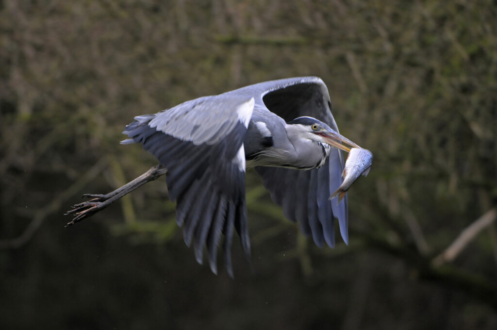 Depositphotos 353046600 L