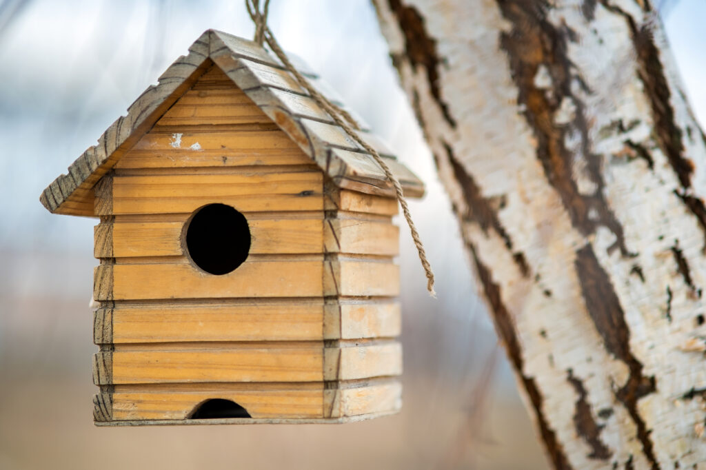 Small wooden bird house hanging on a tree branch