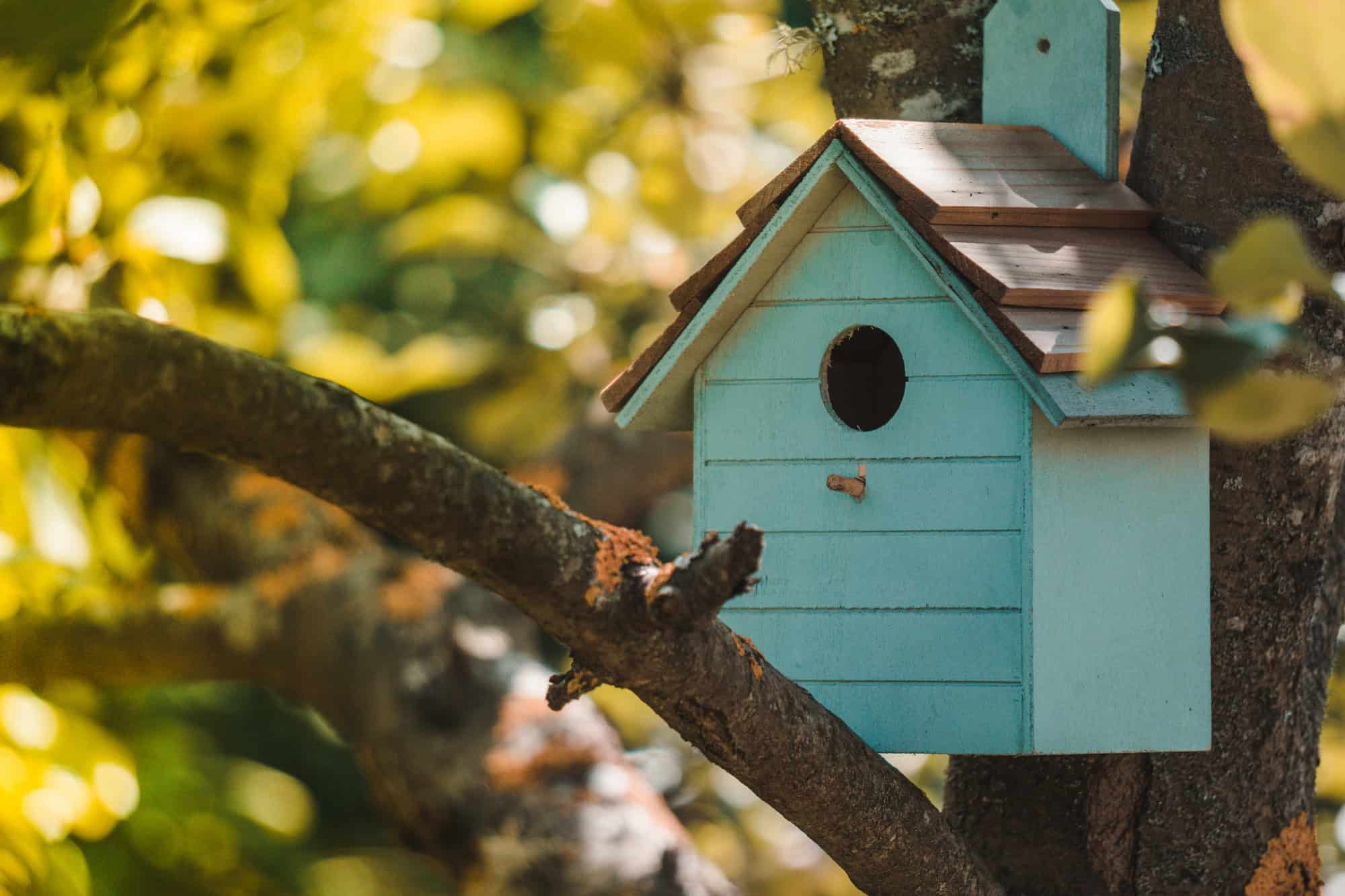 Wooden blue birdhouse on a apple tree