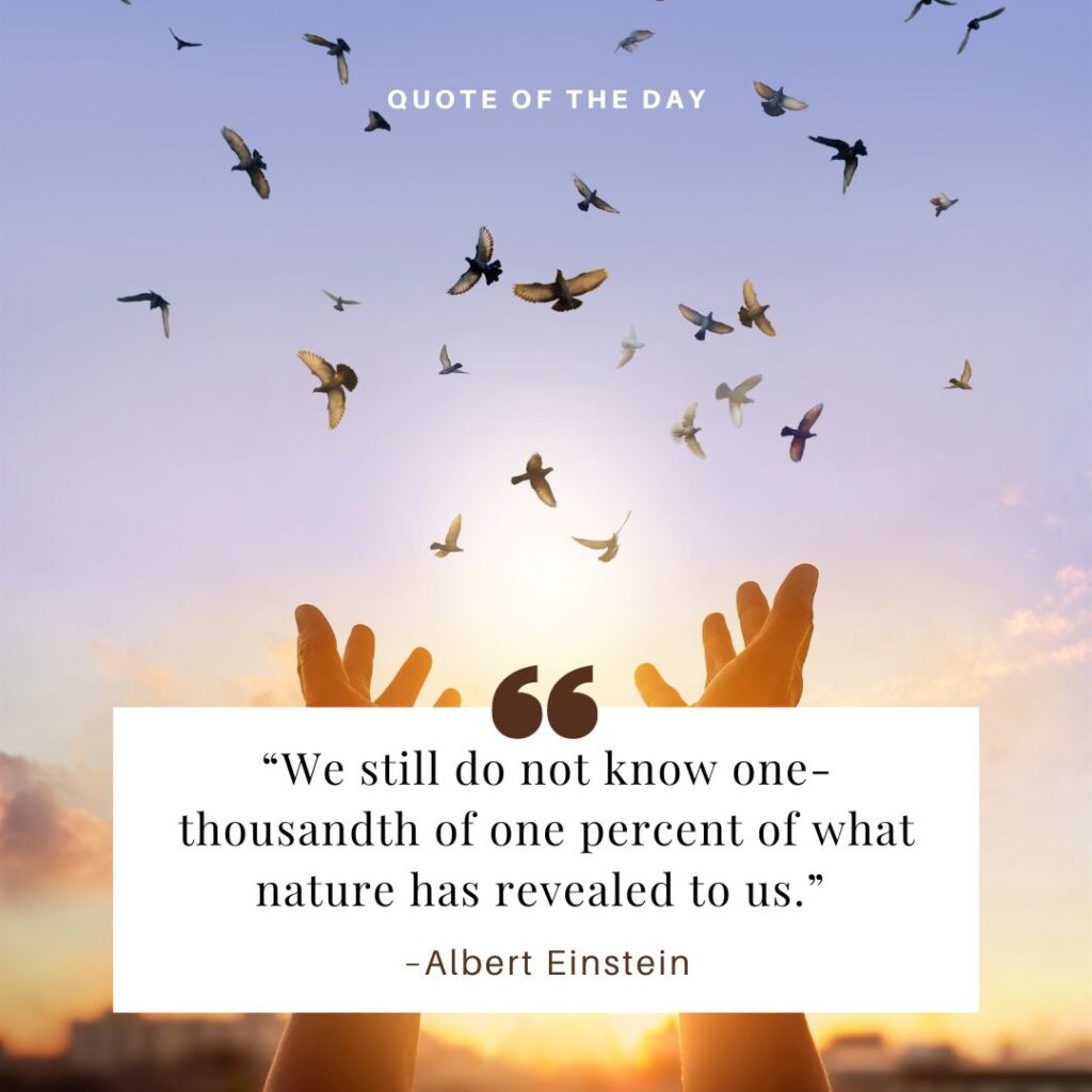 nature quote einstein