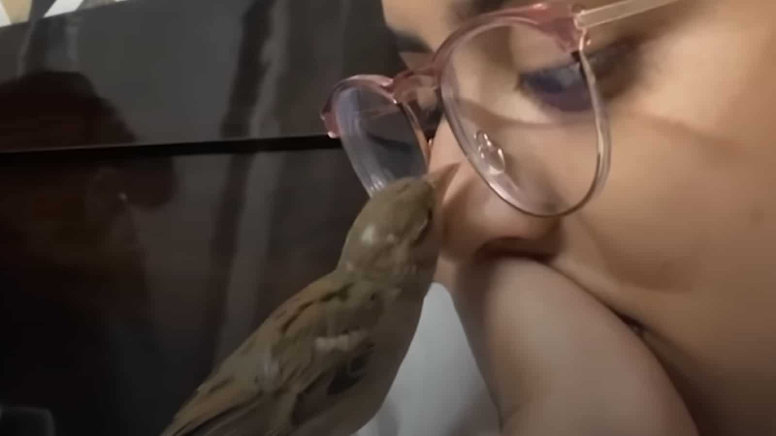 tiny bird near the face of a woman wearing glasses