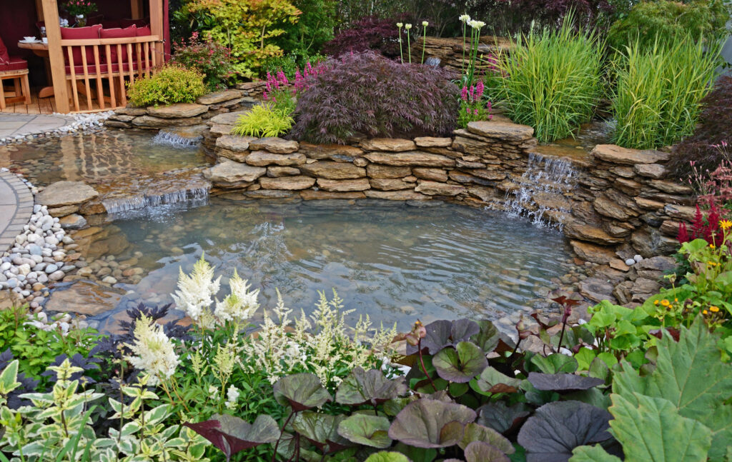 garden pond