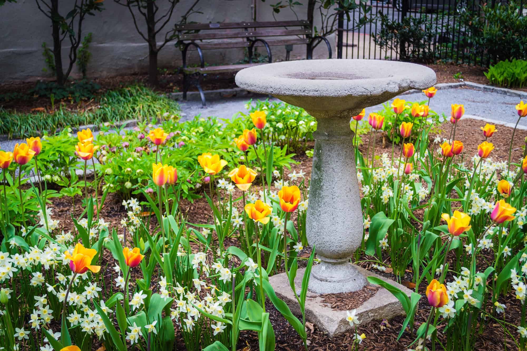 old bird bath