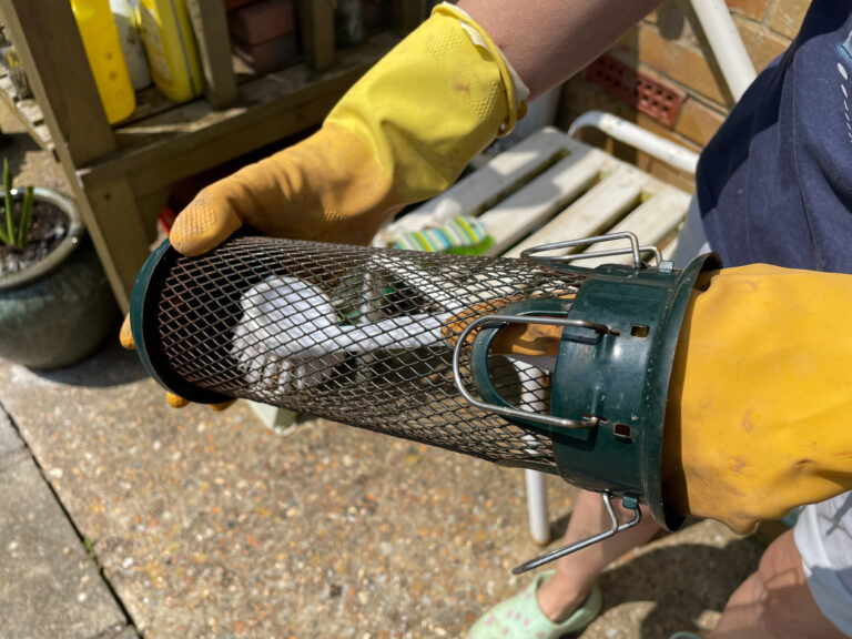 A gloved hand holds an open metal mesh bird feeder over a patio.