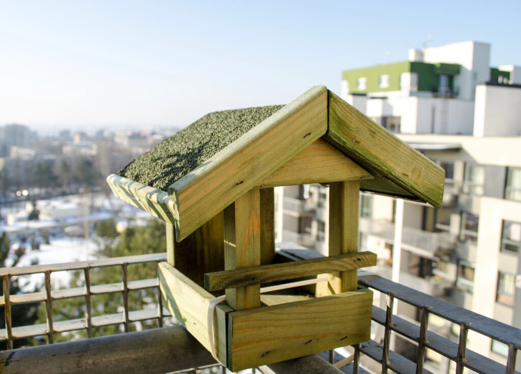 Wooden small bird feeder on the balcony