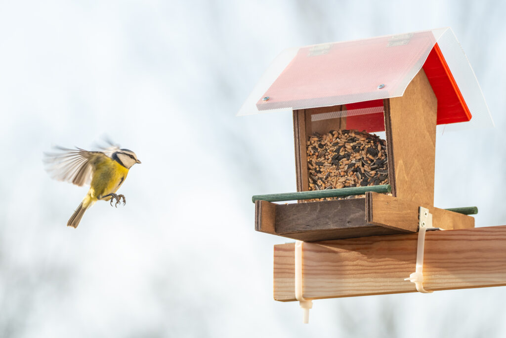 balcony bird feeder