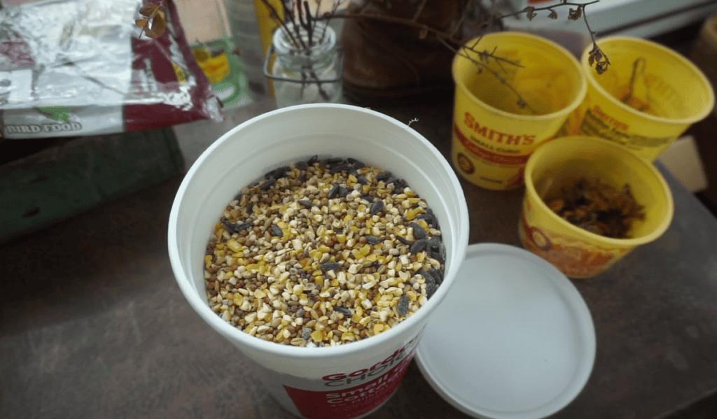 Bird seed in a white bucket