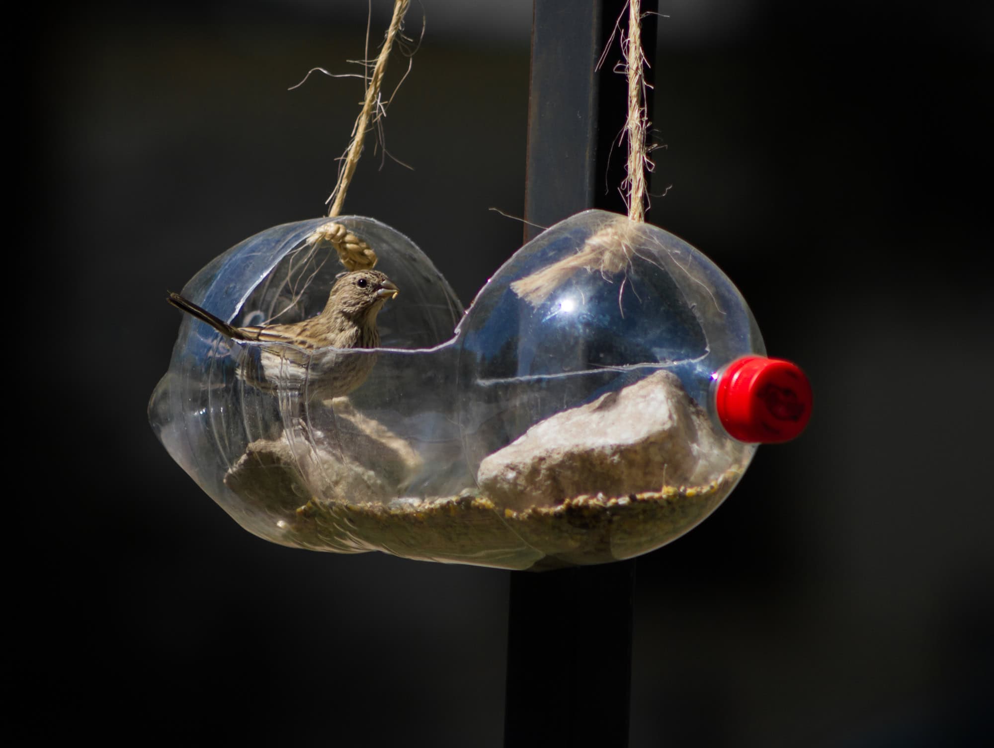Recycled Plastic Feeder
