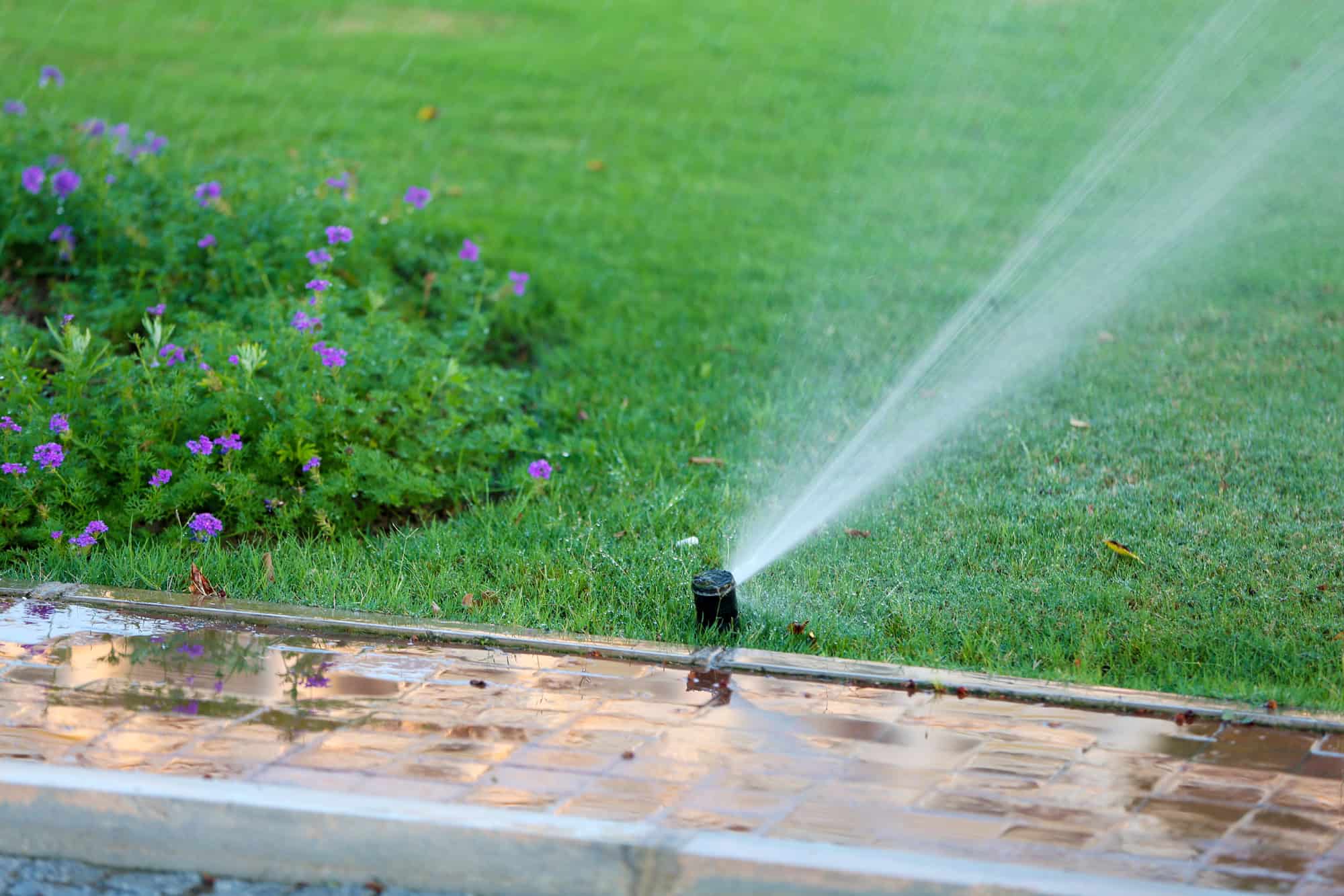 Garden Sprinklers