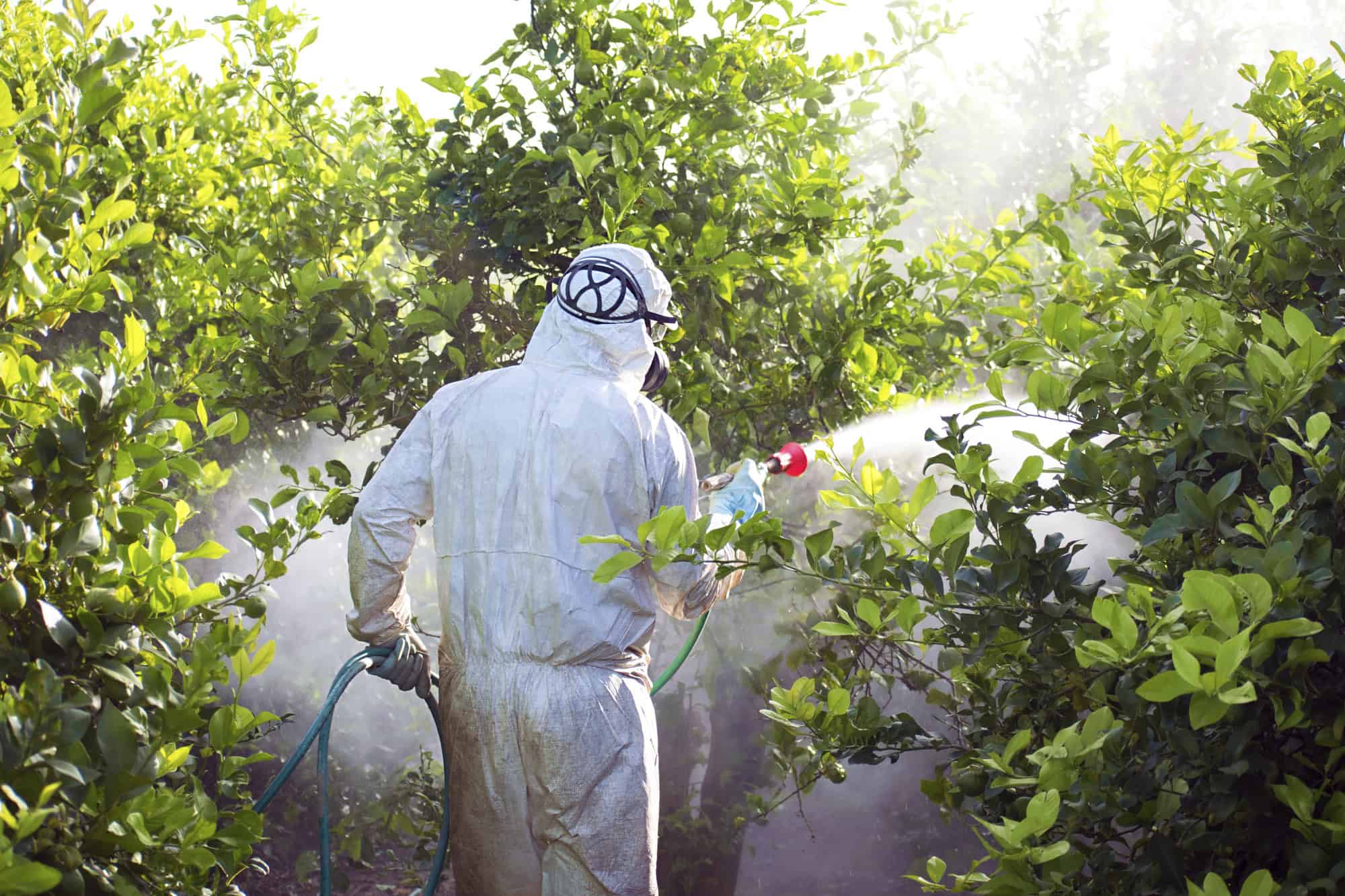 Pesticide