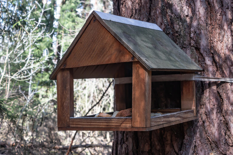 Wooden Feeder