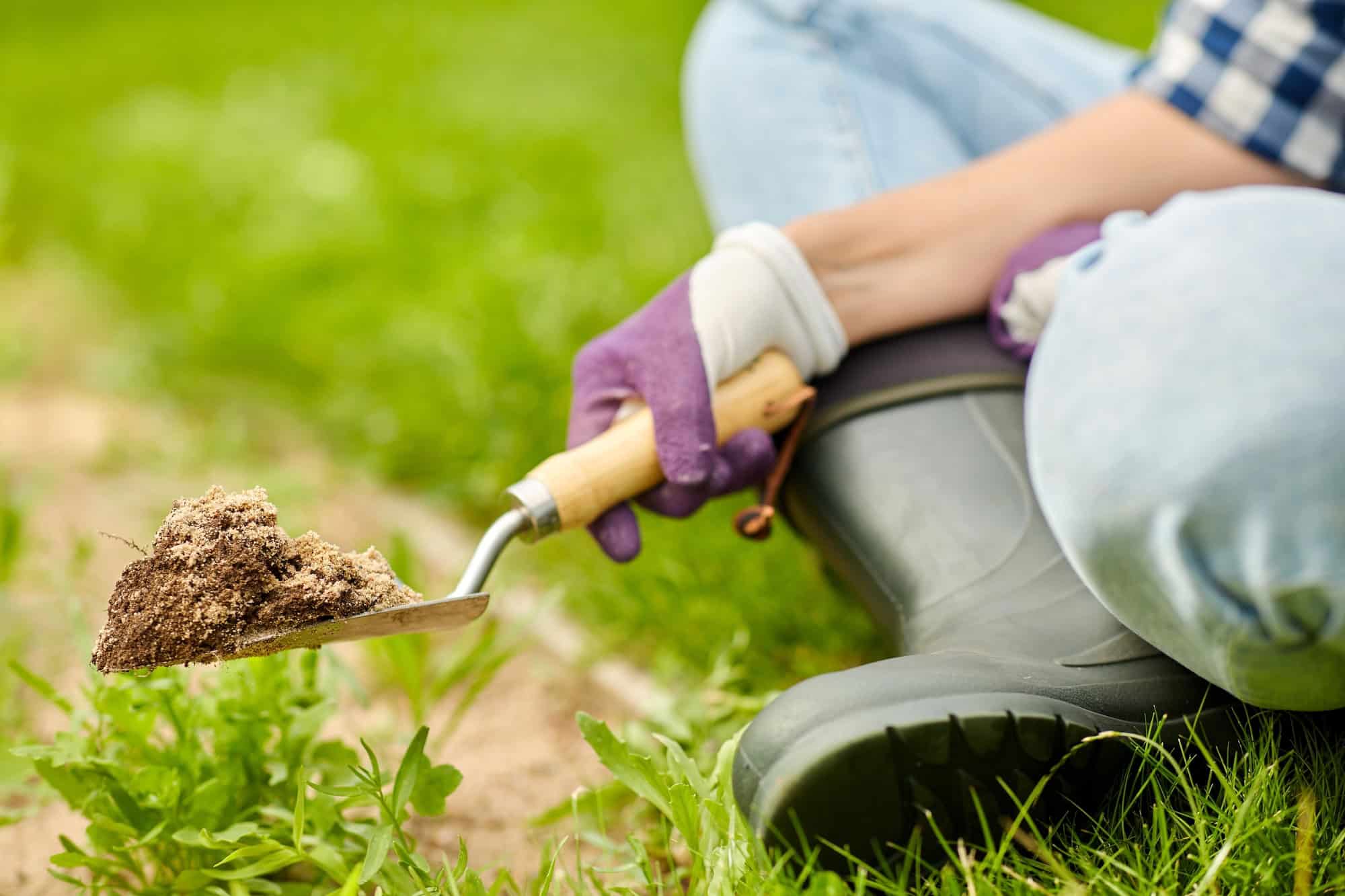 Garden Trowel