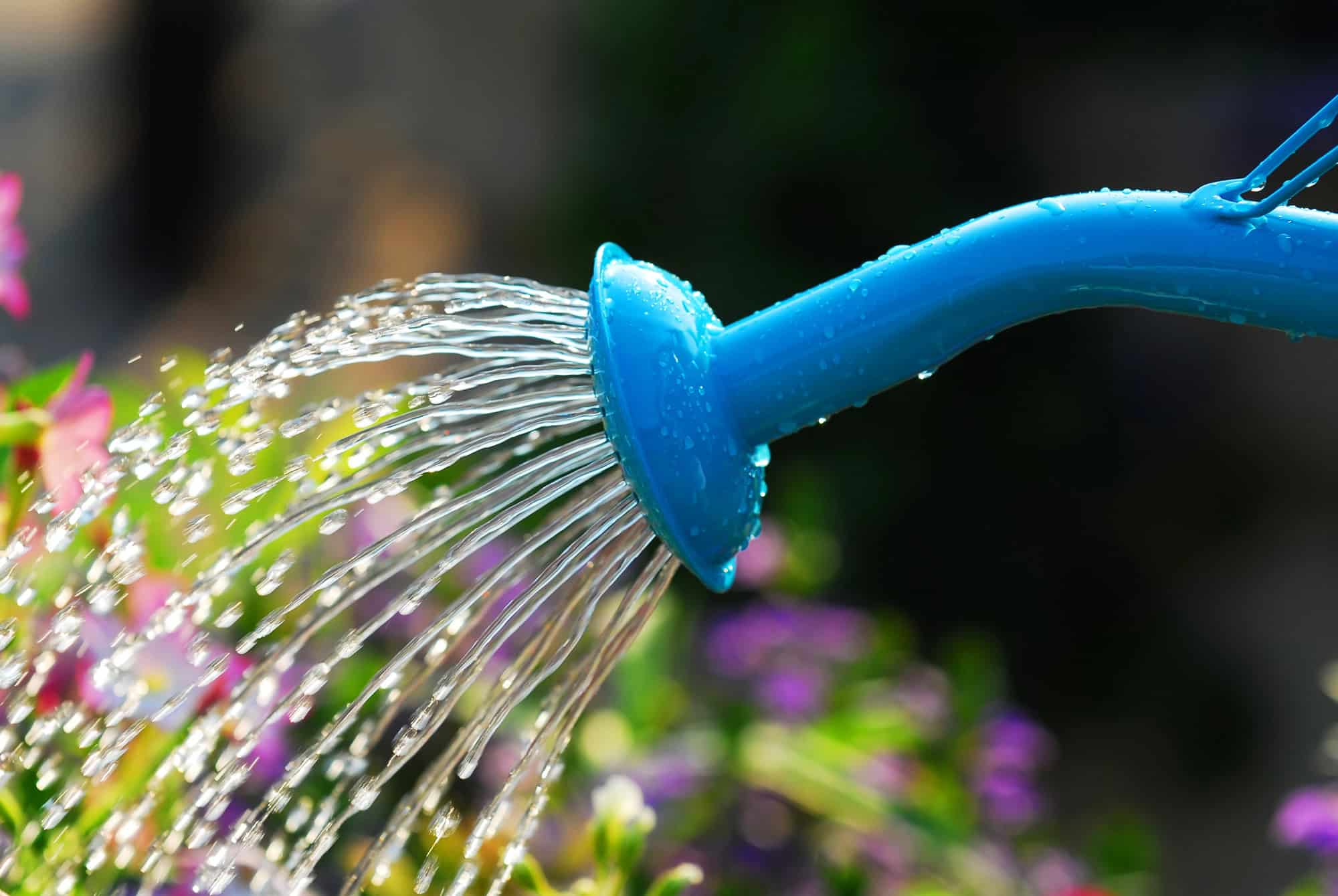 Watering Can