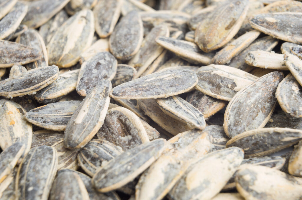 Sunflower seeds