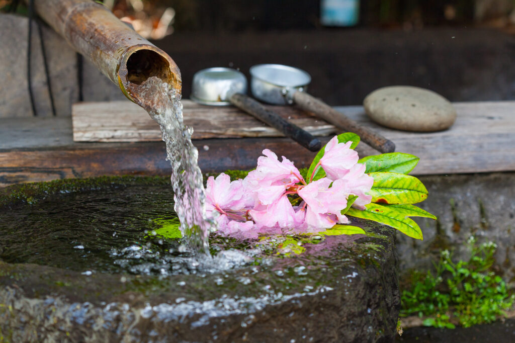 Pink rhododendron blossoms float in a stone basin as water pours from a bamboo spout.