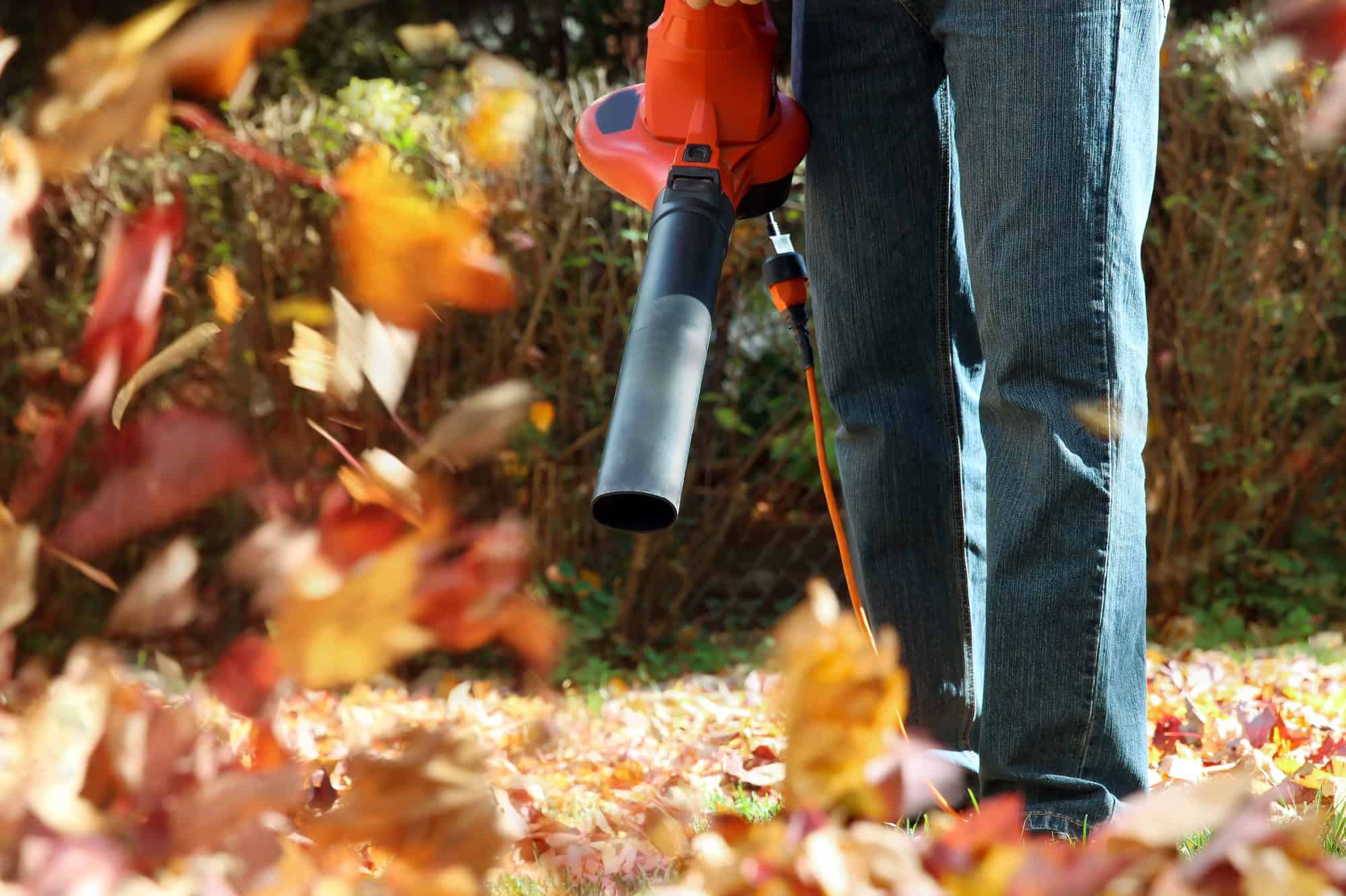 Leafblower