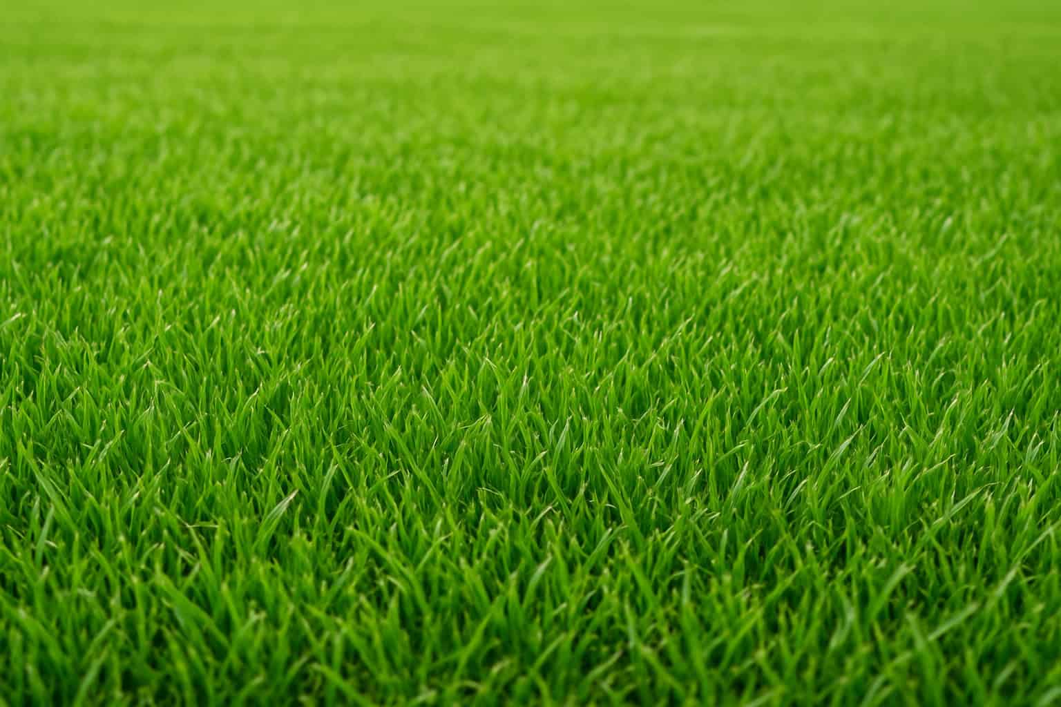 20250714 1907 Perfectly Manicured