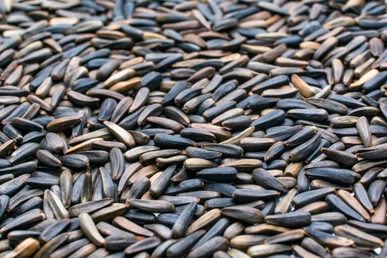 Niger Seeds