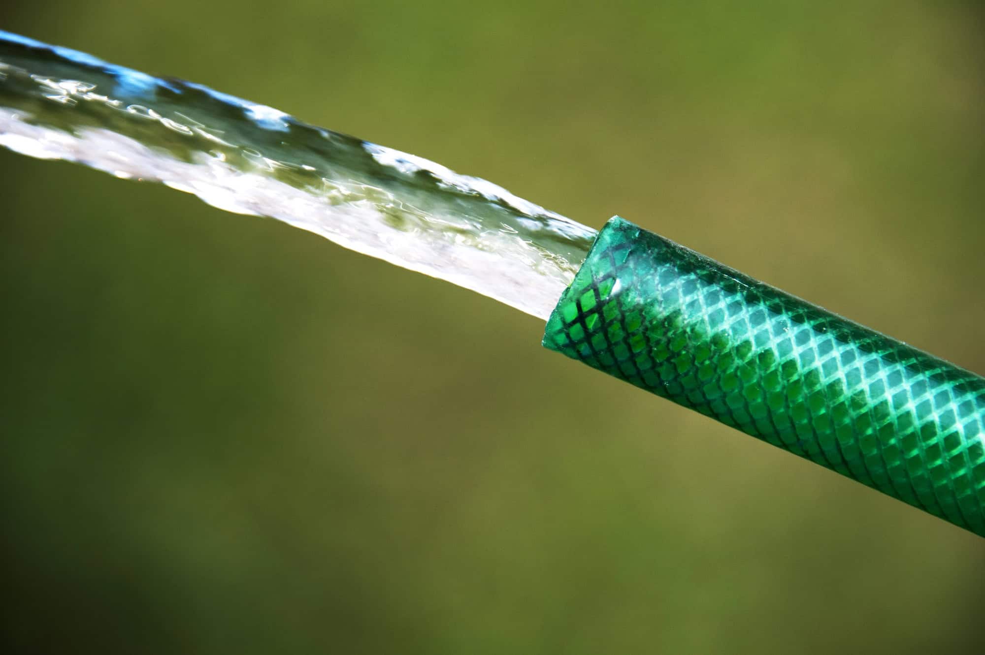 Garden Hose